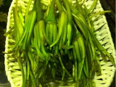 iphone_upload_pic-慢丽江·云南野生菌土鸡锅(西山店)