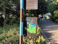 -墨尔本皇家植物园