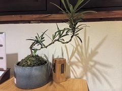 -竹里馆 ·茶食(奥体店)