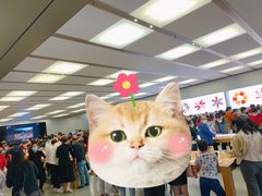 -Apple零售店(深圳益田假日广场店)