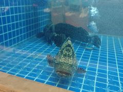 -花中城·杭帮菜·粤菜·海鲜火锅(清泰街店)