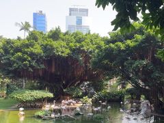 -九龙公园