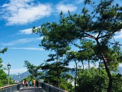 -金鸡山公园