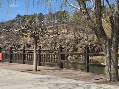 -横山寺