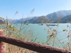 -羚羊峡古栈道森林公园