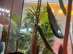 -三猫黑鱼花(南大店)