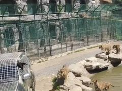 -栾川竹海野生动物园