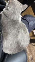 -青木造型HAIR·あおき髪を刈る潮人店