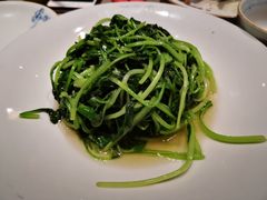 鸡毛菜-福满圆(琨莎中心店)