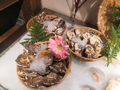 -鸽子窝(青塔店)