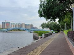 -五缘湾湿地公园