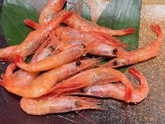 -星伦多自助料理·涮烤一体(江桥万达店)