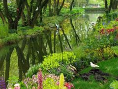 -上海共青森林公园