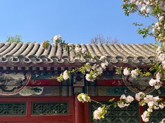 -海棠花溪(元大都城垣遗址公园)