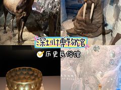 -龙岗区科技馆