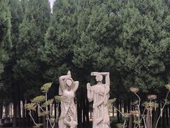 -济南森林公园