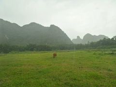 彭家祠附近无名小餐馆对着-彭家祠景区
