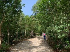 -阳台山自然风景区