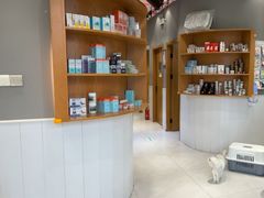 -关爱宠物医院·猫科中心·消化科(滨湖万达分院)