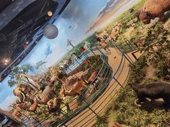 -陕西自然博物馆