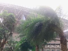 景点-渔岛海洋度假区