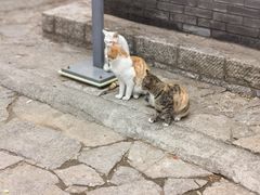 -云龙山