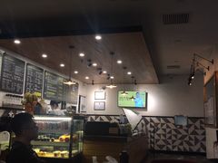 -油梨树 AVOCADO TREE(亮马桥店)