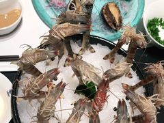 胶东麻虾-红鼎豆捞·非遗鲍皇汤火锅(宝丰路店)