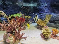 -上海海洋水族馆