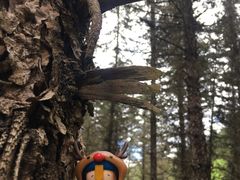 -硗碛藏寨·神木垒景区