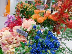 -潮一不贰·法式甜品·生日蛋糕·西式简餐(外滩店)