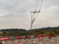 -空港花田景区