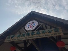 -上海海湾国家森林公园