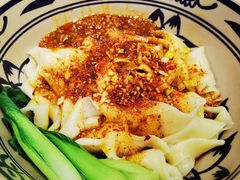 biangbiang面-袁记肉夹馍(北客站店)