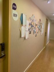 -海豚湾高端月子会所(黄浦店)