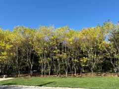 -北京雁栖湖国际会展中心