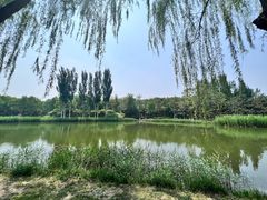 -大兴滨河森林公园