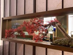 -牛New寿喜烧(新六百店)
