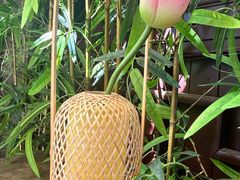 -蟹村草堂·苏式园林人文农家·大闸蟹