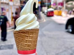 -富豪雪糕车流动点(尖沙咀店)