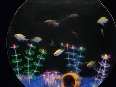 -欢乐海岸海洋奇梦馆