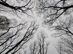 -西湖风景区-江洋畈生态公园