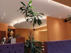 -美泰·Mangothai·清迈云街(天空之城店)