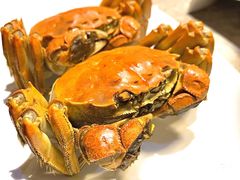 -沪小胖小龙虾(淮海中路旗舰店)