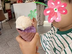 -Dal Cuore 达可芮冰淇淋(陕西北路店)