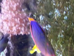 android_upload_pic-郑州海洋馆