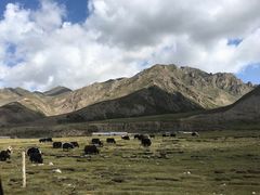 -日月山景区