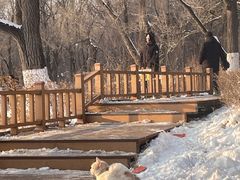 -长春市南湖公园