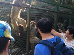 -藏龙百瀑风景区