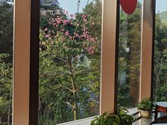 -顺德杨廷记(白云山店)